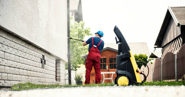Best Dumpster Area Cleaning  in Mount Morris, IL
